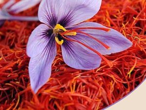 irani saffron in dubai