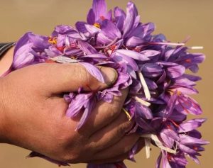 Cheapest country to buy saffron