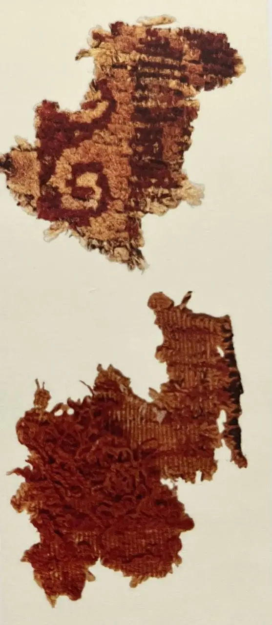 The first archaeological evidence of iran rug